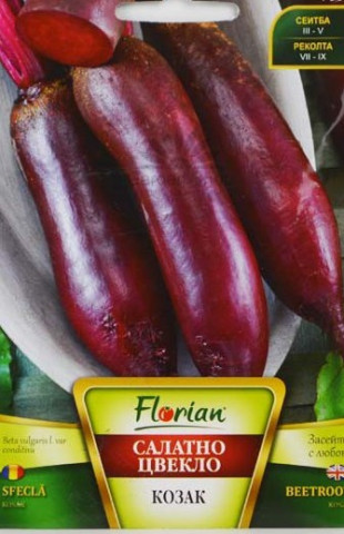 Sfecla Cilindrica Kosak - 3 gr - Seminte Sfecla Rosie Cilindrica Kosak de la Florian