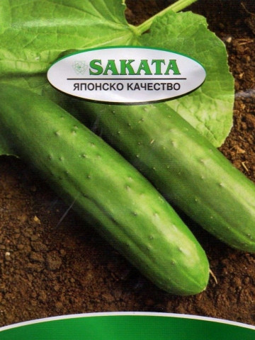 Slice King F1 (35 seminte) castraveti de Salata Hibrid Productiv de la Sakata Japonia