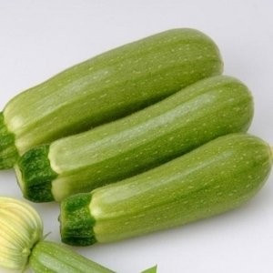 Suha F1 (500 seminte) de dovlecei hibrid semitimpuriu, Sakata