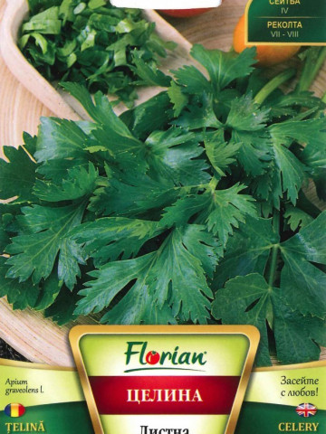 Telina de Frunze - 50 gr - Seminte de Telina de Frunze Soi Foarte Productiv de la Florian