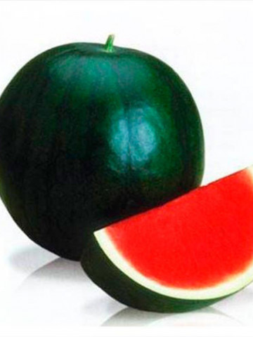 Titania F1 (1000 seminte) pepene verde tip Sugar Baby, fara seminte, Rijk Zwaan