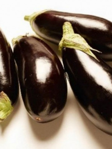 Vinete Dragaica (1 kg), seminte de vinete soi romanesc timpuriu pentru camp si solarii, Agrosem