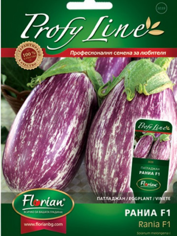 Vinete Rania F1 - 20 sem - Seminte de Vinete Pestrite cu Dungi Violet Semi-Rotunde