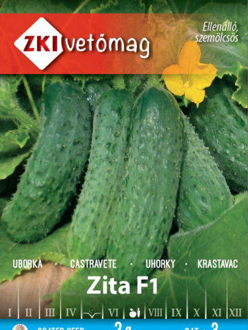 Zita F1 (60 seminte) de castraveti cornishon soi destinat cultivarii in camp, ZKI