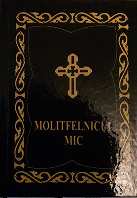 MOLITFELNICUL MIC