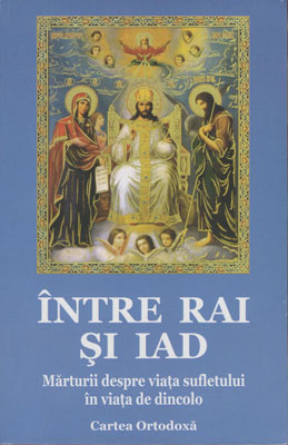 INTRE RAI SI IAD