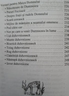 Preacinstirea Maicii Domnului