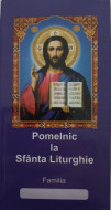 Pomelnic copertat