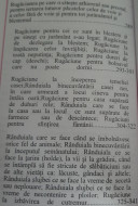 MOLITFELNICUL MIC