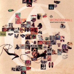 Wonderwall ‎– албум What Does It Mean? (CD)