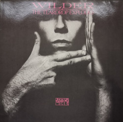 The Teardrop Explodes – албум Wilder