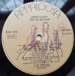 David Olney – албум Top To Bottom