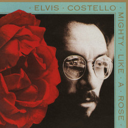 Elvis Costello – албум Mighty Like A Rose (CD)
