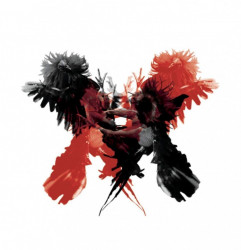 Kings Of Leon – албум Only By The Night