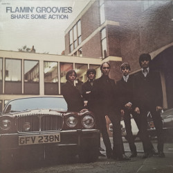 Flamin' Groovies – албум Shake Some Action