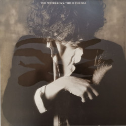 The Waterboys ‎– албум This Is The Sea