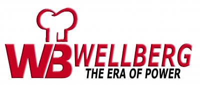 WELLBERG THE ERA OF POWER