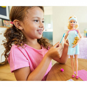 Set Barbie by Mattel Wellness and Fitness papusa cu figurina si accesorii GJG55