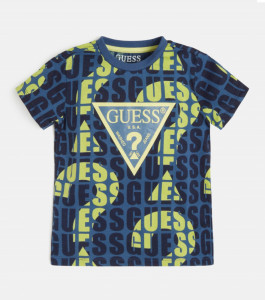 Tricou de băiat,verde si albastrude la 3 luni la 7 ani Guess