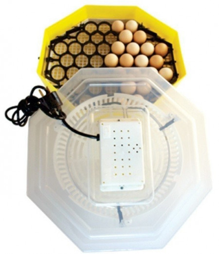 Incubator electric cu dispozitiv de intoarcere 41 oua gaina - 74 oua prepelita CLEO 5D