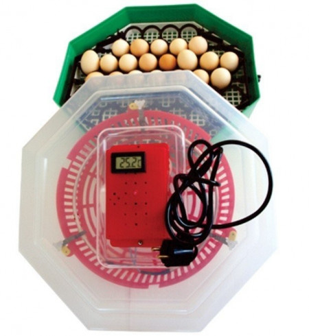 Incubator electric cu dispozitiv de intoarcere si termostat 41 oua gaina - 74 oua prepelita