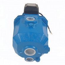 Pompa de hidrofor Aquatic Elefant DP255, 1150 W, 80l/min