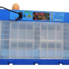 Incubator automat