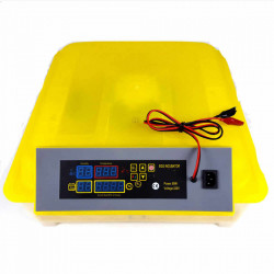 Incubator automat cu alimentare dubla 12/220V, 48 oua