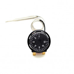 TERMOSTAT REGLABIL 0-120°C CU SONDA DE INOX