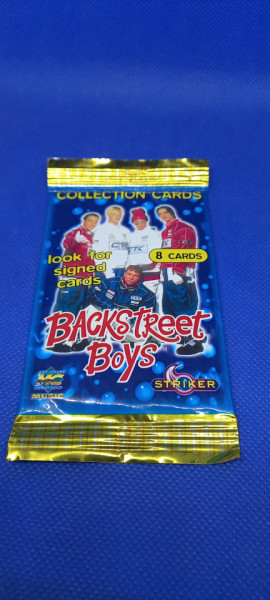 Puna kesica Backstreet Boys