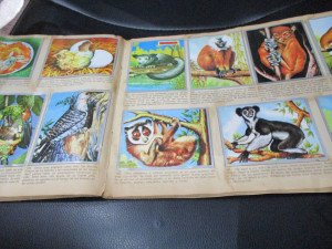 Kompletno popunjen album Zoologija i botanika Maga
