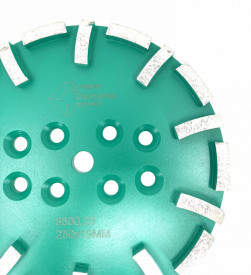 Disc cu segmenti diamantati pt. slefuire pardoseli - segment dur - Verde - 250 mm - prindere 19mm - DXDY.8500.250.23