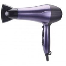 Uscator de par profesional 2000W
