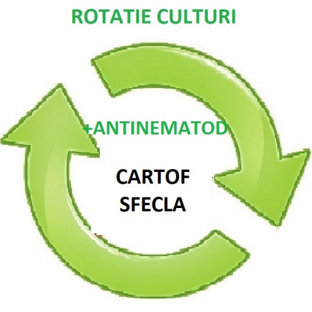 Mix rotatie culturi cartof sau sfecla ANTINEMATOD