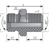 ADAPTER 1"-1" BSPT (ANGK1616)