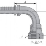 Q2 (DKJ) np10