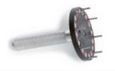 PINZA119CRE