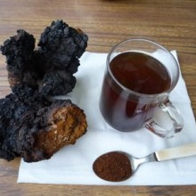 Chaga - pulbere - 50g - ciuperca de mesteacan