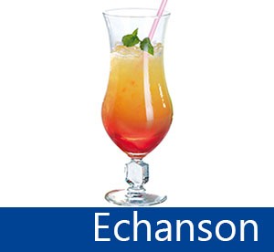 Echanson