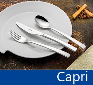Tacâmuri de inox Capri