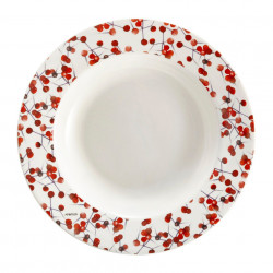 Farfurie adanca 21,5cm Holly