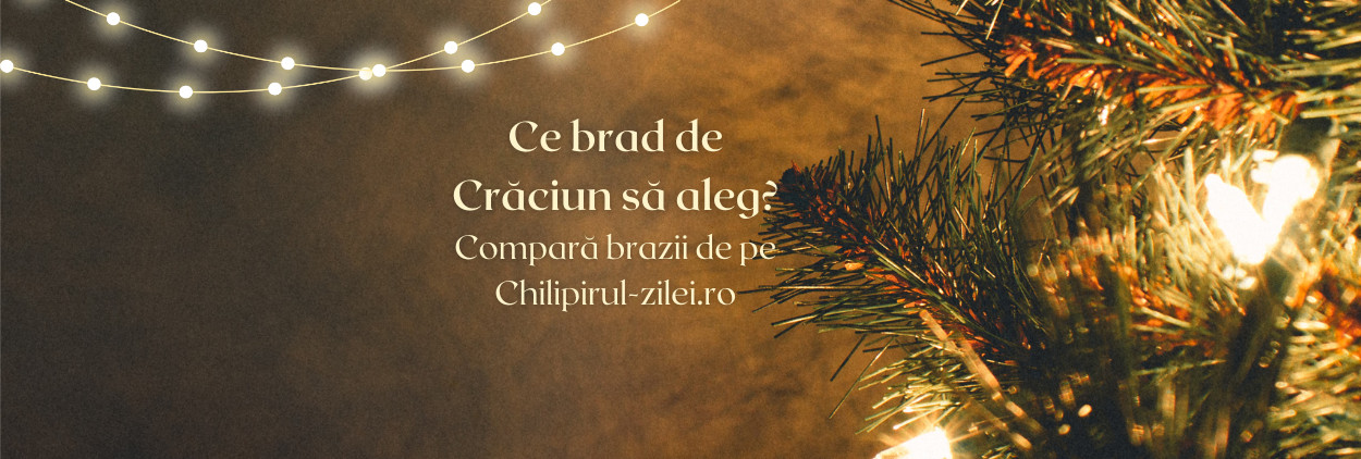 Ce brad de Crăciun să aleg? Compară brazii de pe Chilipirul-zilei.ro