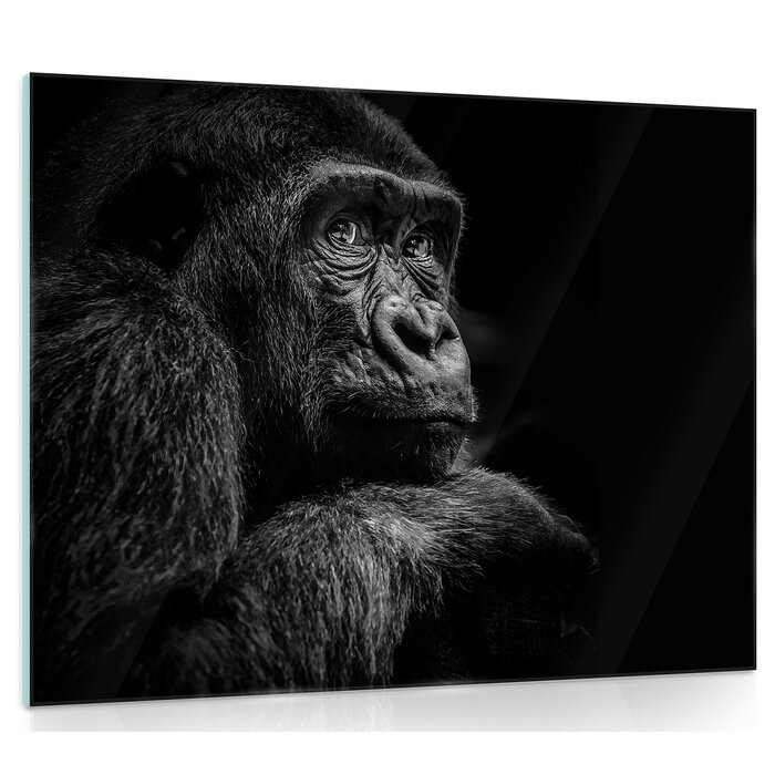 Tablou „Gorilla”, negru/gri inchis, 80 x 60 cm