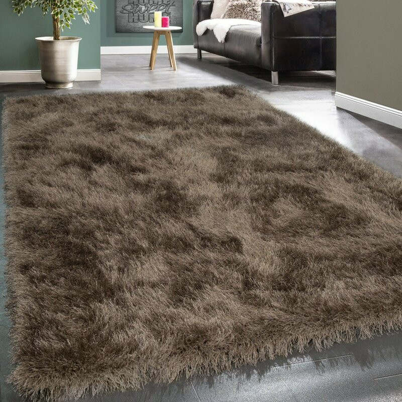 Covor Etheridge Shaggy Beige 200 x 290 cm