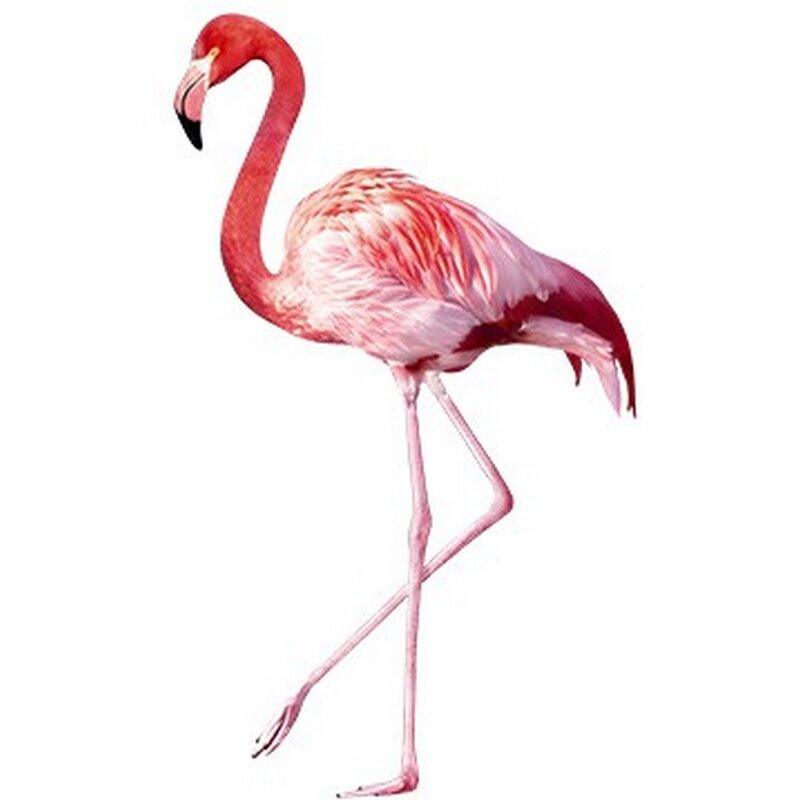 Poza Sticker Flamingo, roz, 202 x 120 cm