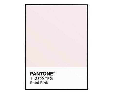 Tablou Pantone Petal Pink, 30x40 cm