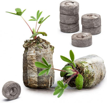Set pamant pentru plante Danolt, 36 bucati, 30 x 12 mm