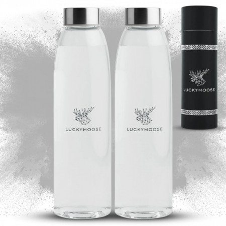 Set de 2 sticle pentru apa Luckymoose, transparent/argintiu, 25 x 7 cm