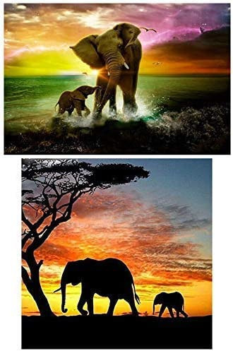 Set de 2 picturi cu diamant 5D Vdyxew, panza/rasina, multicolor, 30 x 40 cm