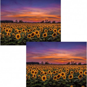 Set de 2 picturi cu diamante 5D Hilloly, floarea soarelui, panza, 40x30 cm